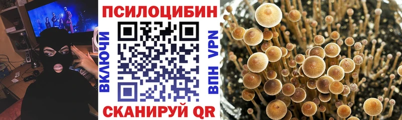 Галлюциногенные грибы Psilocybine cubensis Нефтекамск